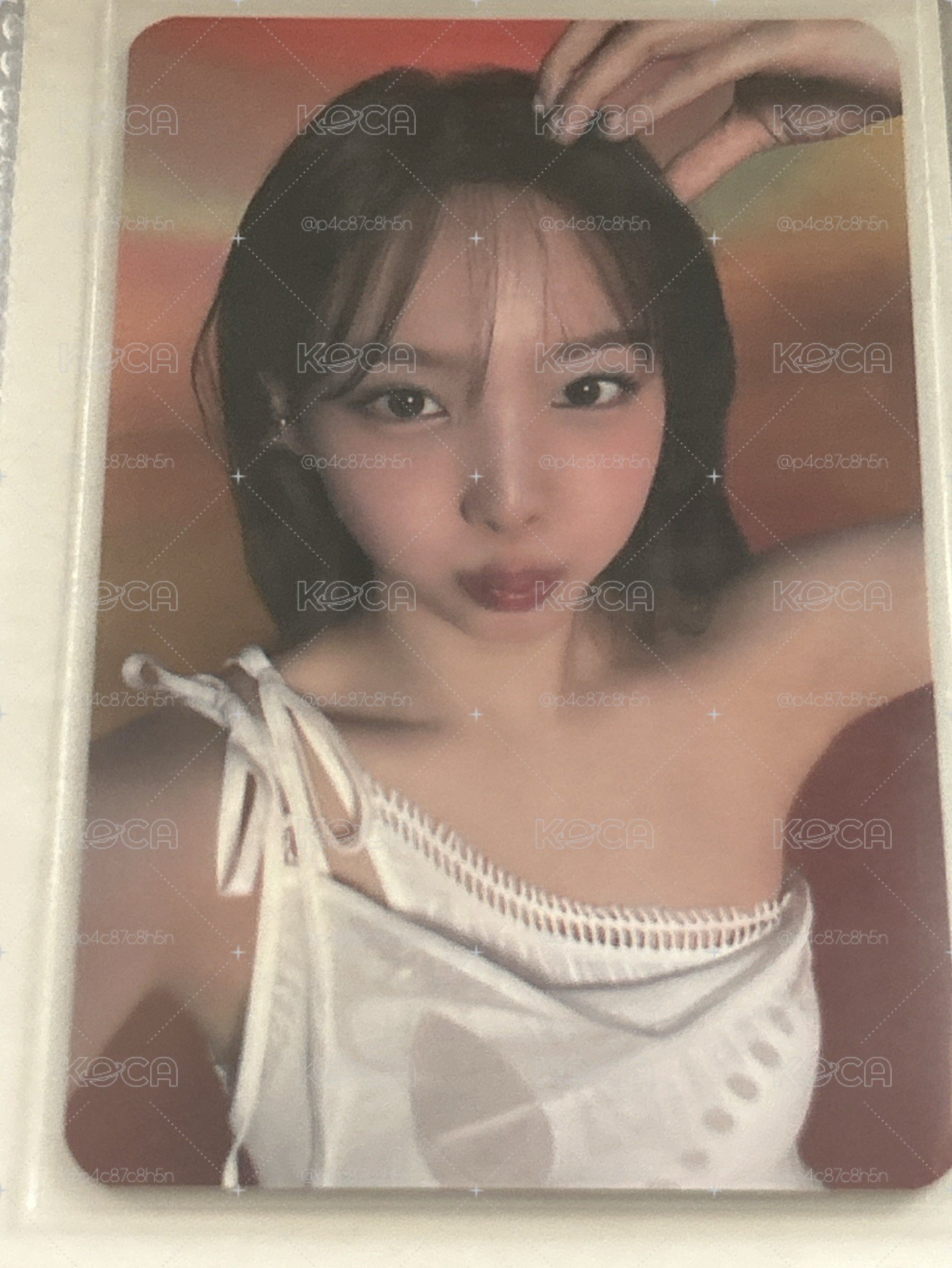 🐰13