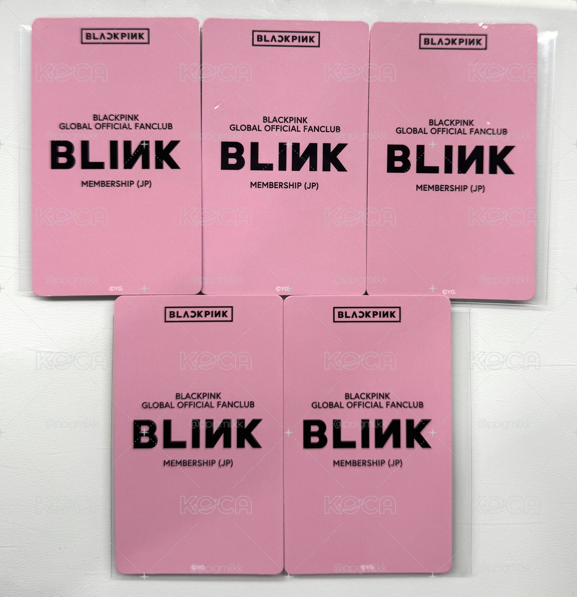 BLINK會員 日咖 早鳥肉 會員禮卡 