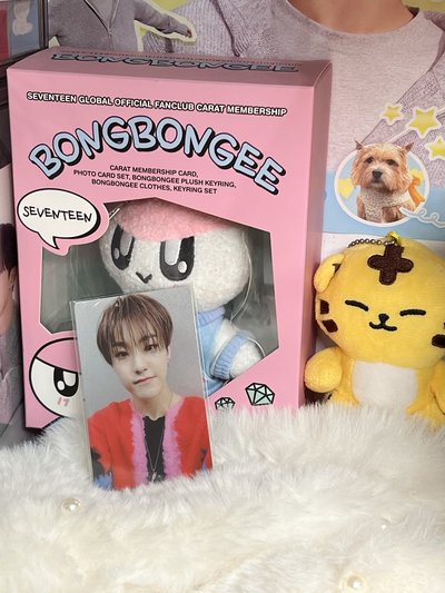 SEVENTEEN HOSHI🐯小卡