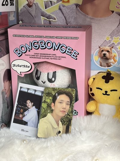 SEVENTEEN JOSHUA🦌小卡