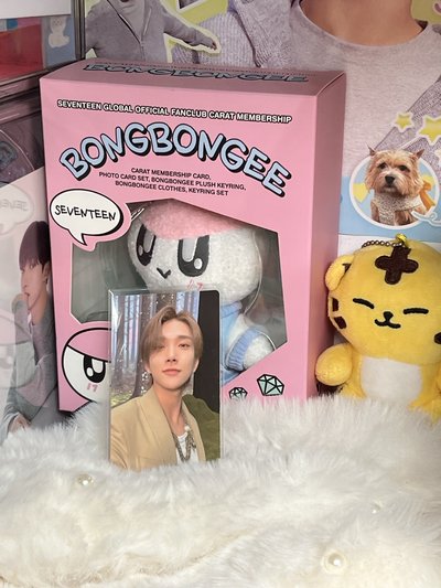 SEVENTEEN JOSHUA🦌小卡