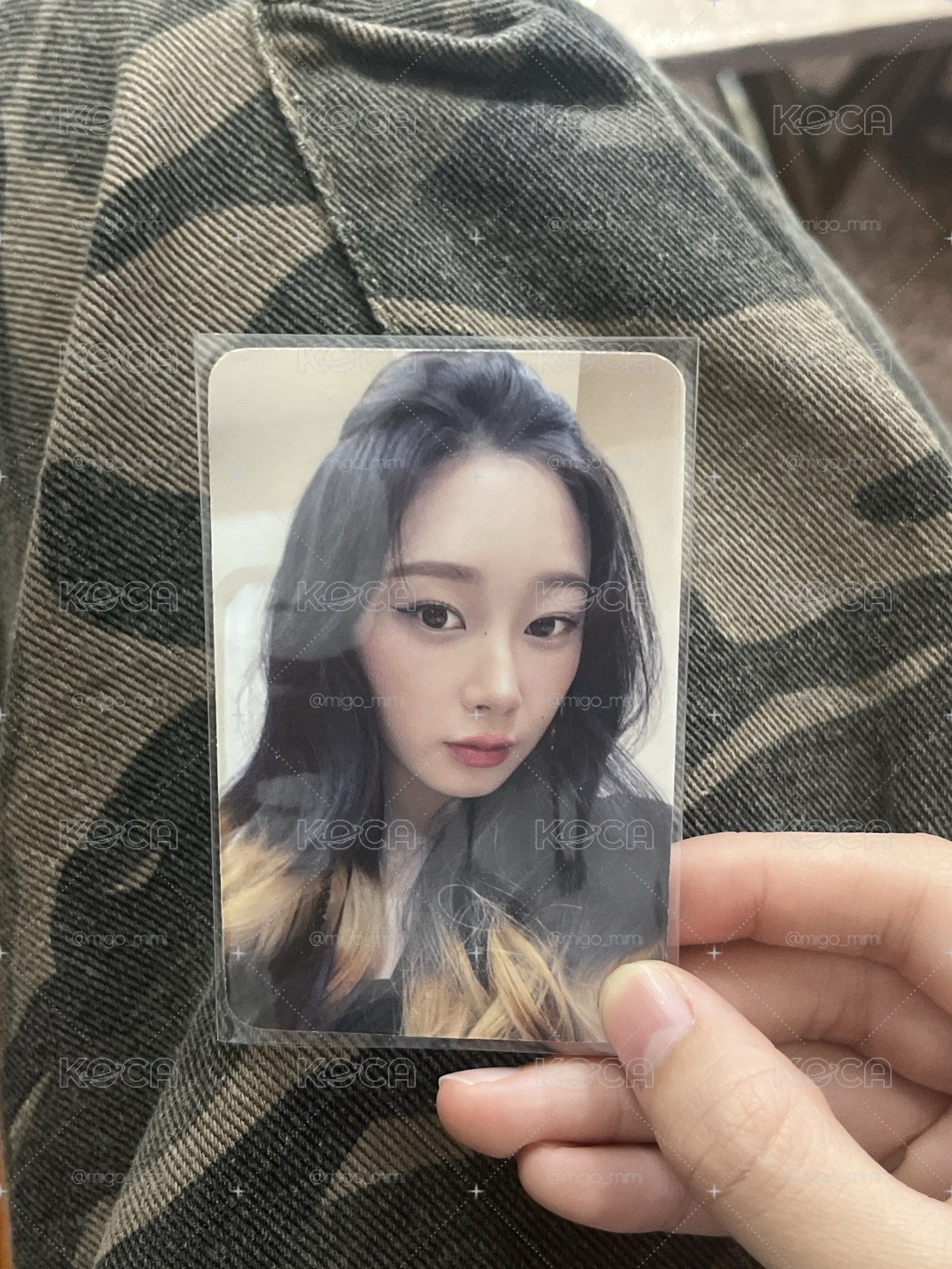 特典吉🔥