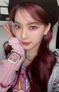 泰迪熊 wvs 特典卡 