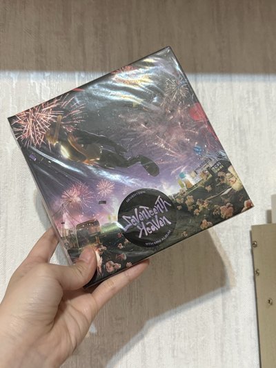 SEVENTEEN 迷你11輯 全專