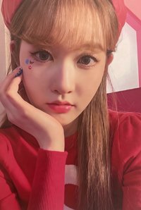 泰迪熊 日版 快閃 07 隨機卡 