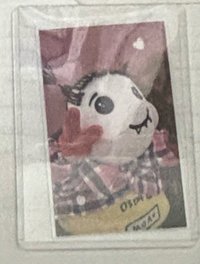 29（需多帶🩶）