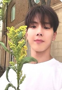 THE X "XX" 專輯卡 