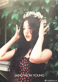 舊DICON 日版 雜誌卡 