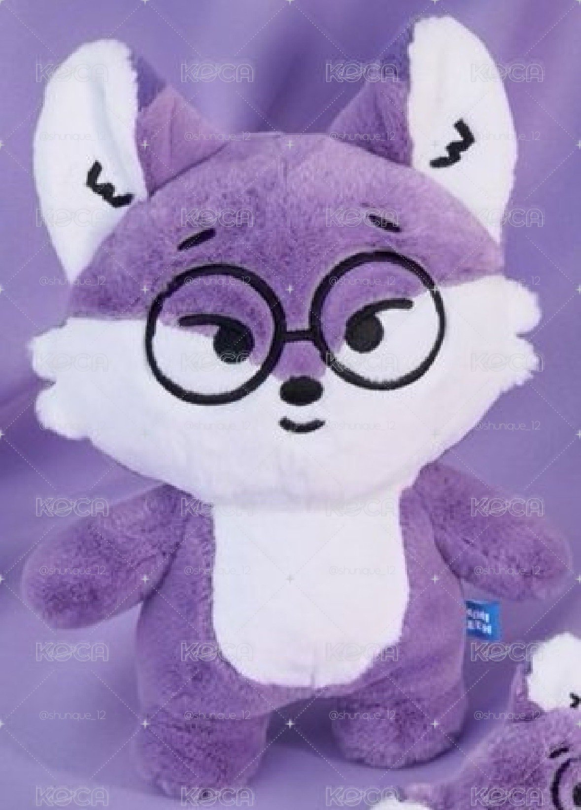 圓佑狐狸站娃
