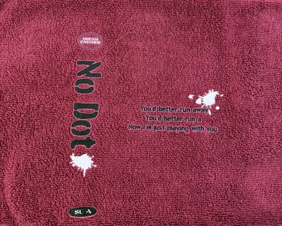 DREAMCATCHER WONDERWALL 寫真組 毛巾