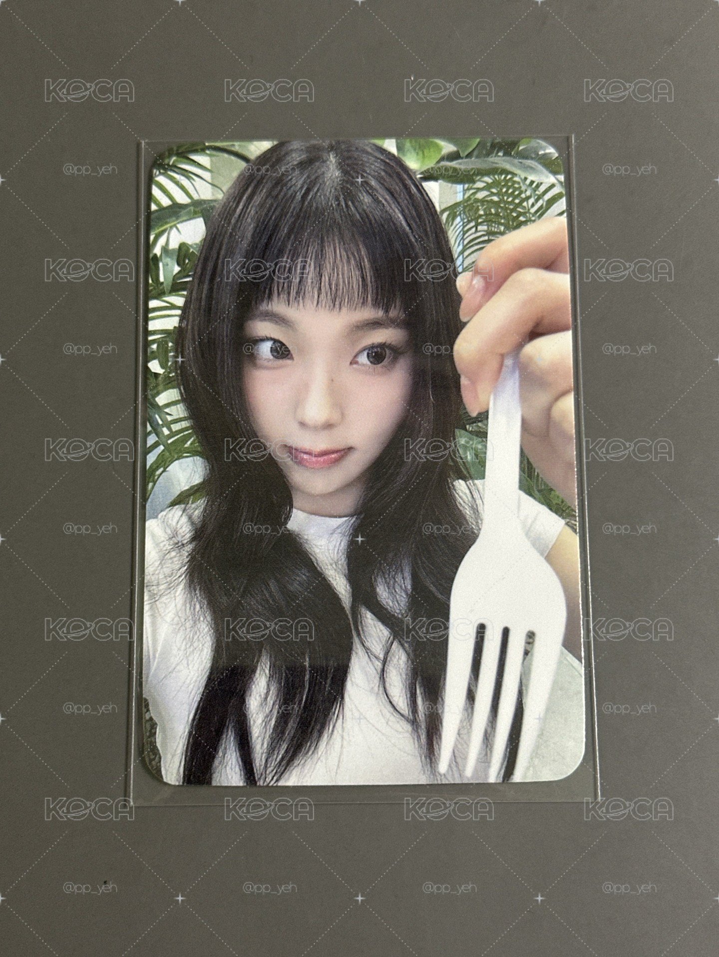 NMIXX mmt禮儀圭