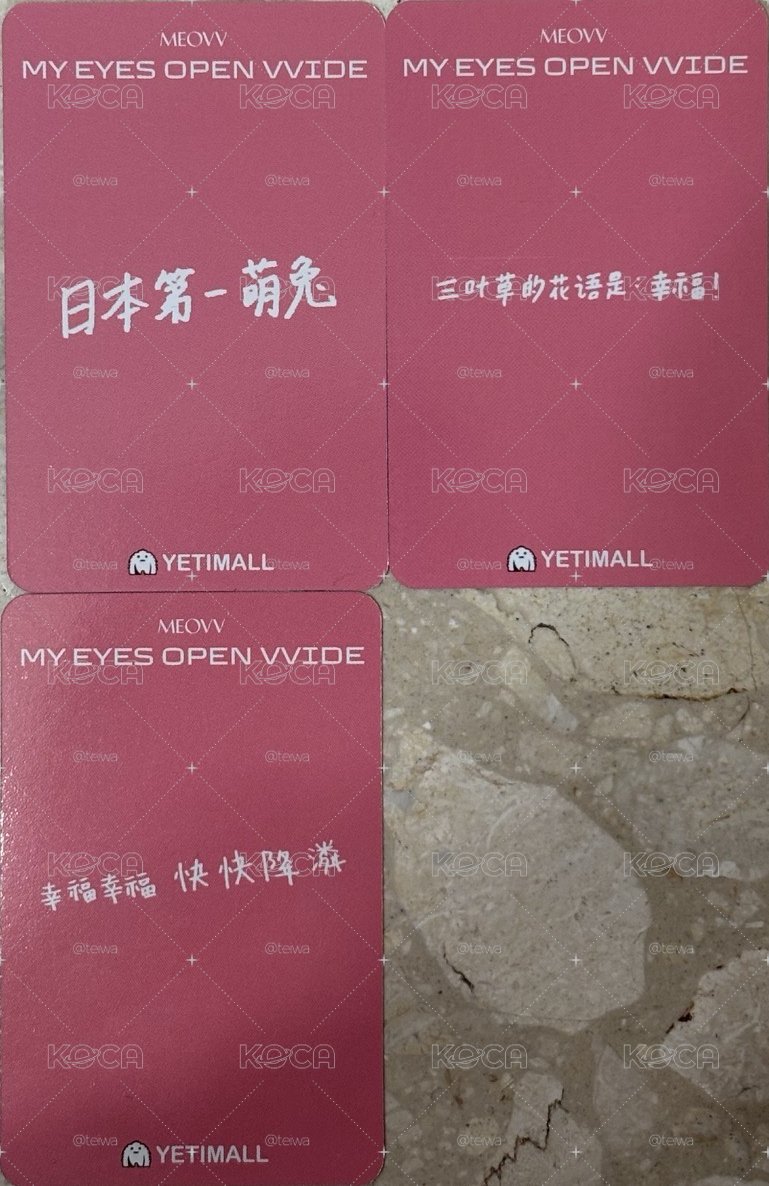 貓咪們中文卡背