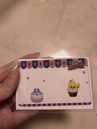 日本skzoo快閃燦菲透卡