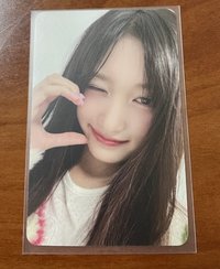 中文卡背 瑞卡 多帶一