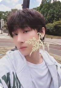 THE X "XX" 專輯卡 