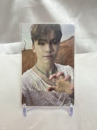 正規四 專卡 /虎爪率（小損）