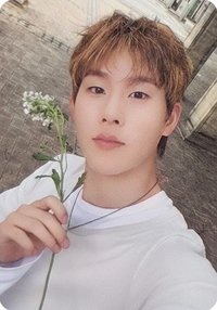 THE X "XX" 專輯卡 