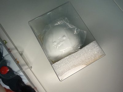 太妍 太蛋系列 TAENGGEU 壓力球卡 夜燈卡