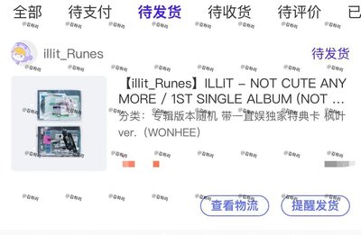 *年後運回*ILLIT 一直娛 楓葉ver 沅禧
