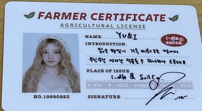 idle年曆農民身份證