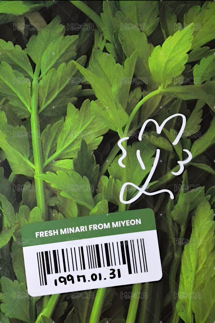 2026年曆 年曆卡 固配 背面