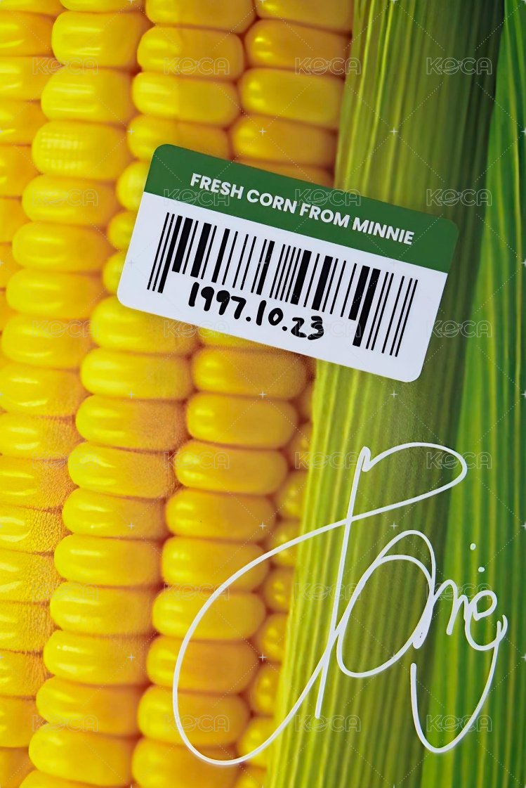 2026年曆 年曆卡 固配 背面