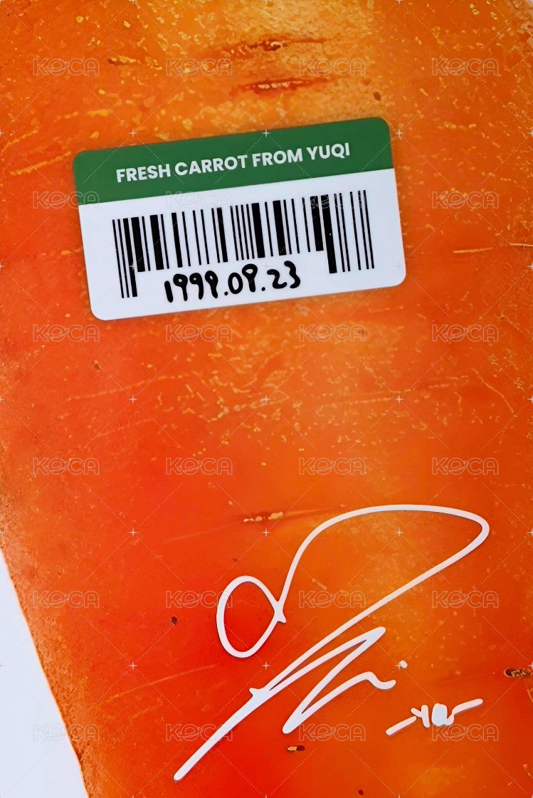 2026年曆 年曆卡 固配 背面