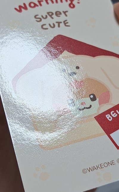 zeroni 滿額彬 折痕