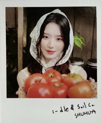 2026年曆 年曆卡 固配 拍立得