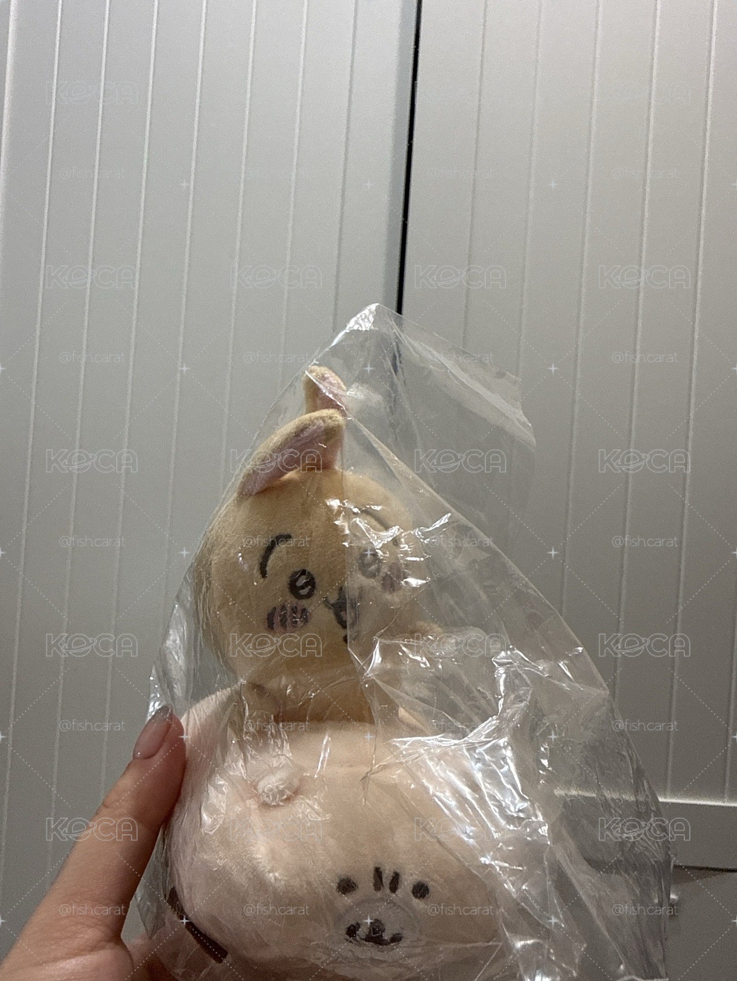 車車烏薩琪