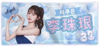 應援巾 2025FA女孩影像應援毛巾
