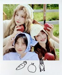 2026年曆 年曆卡 固配 拍立得 分隊