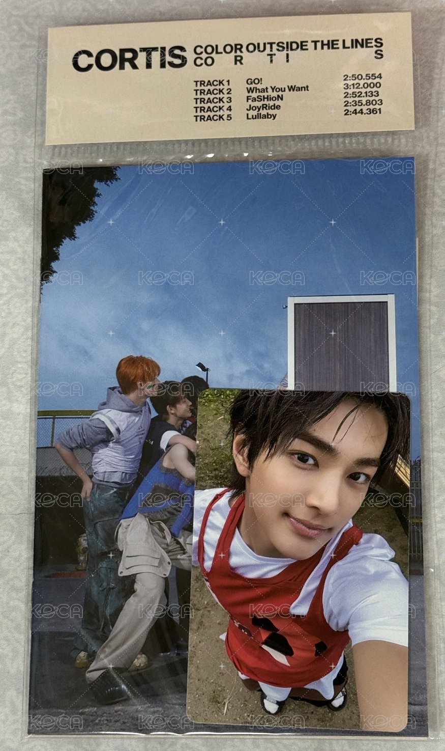 A版安小狗