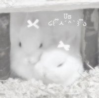 みなみ
