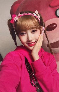 泰迪熊 wm 快閃 包卡 周邊卡 