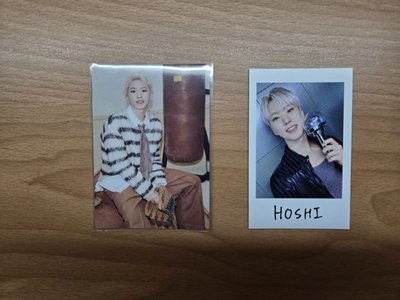 seventeen榮卡(holiday, RH拍立得)