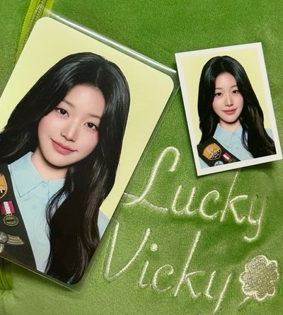 （現貨 全新未拆有卡）IVE 張員瑛 幸運草 抱枕 25’ FC IVE SCOUT 抱枕 