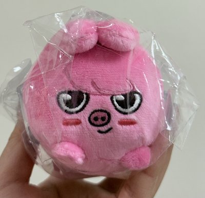 彰彬 昇玟 THE VICTORY 日本趴娃