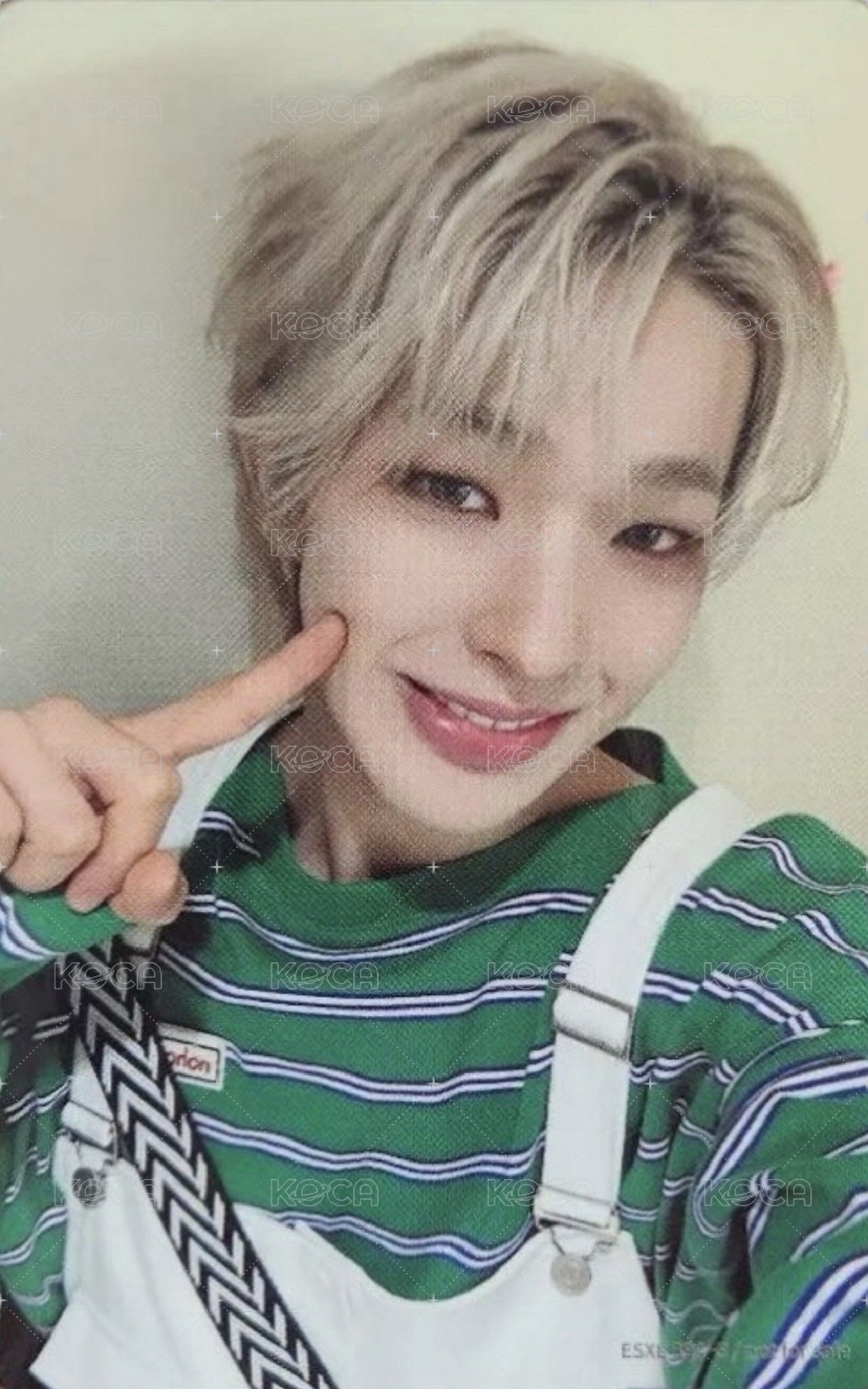 2025 日巡武道館藍光 完全生產限定盤 專輯卡 雙面卡 背面