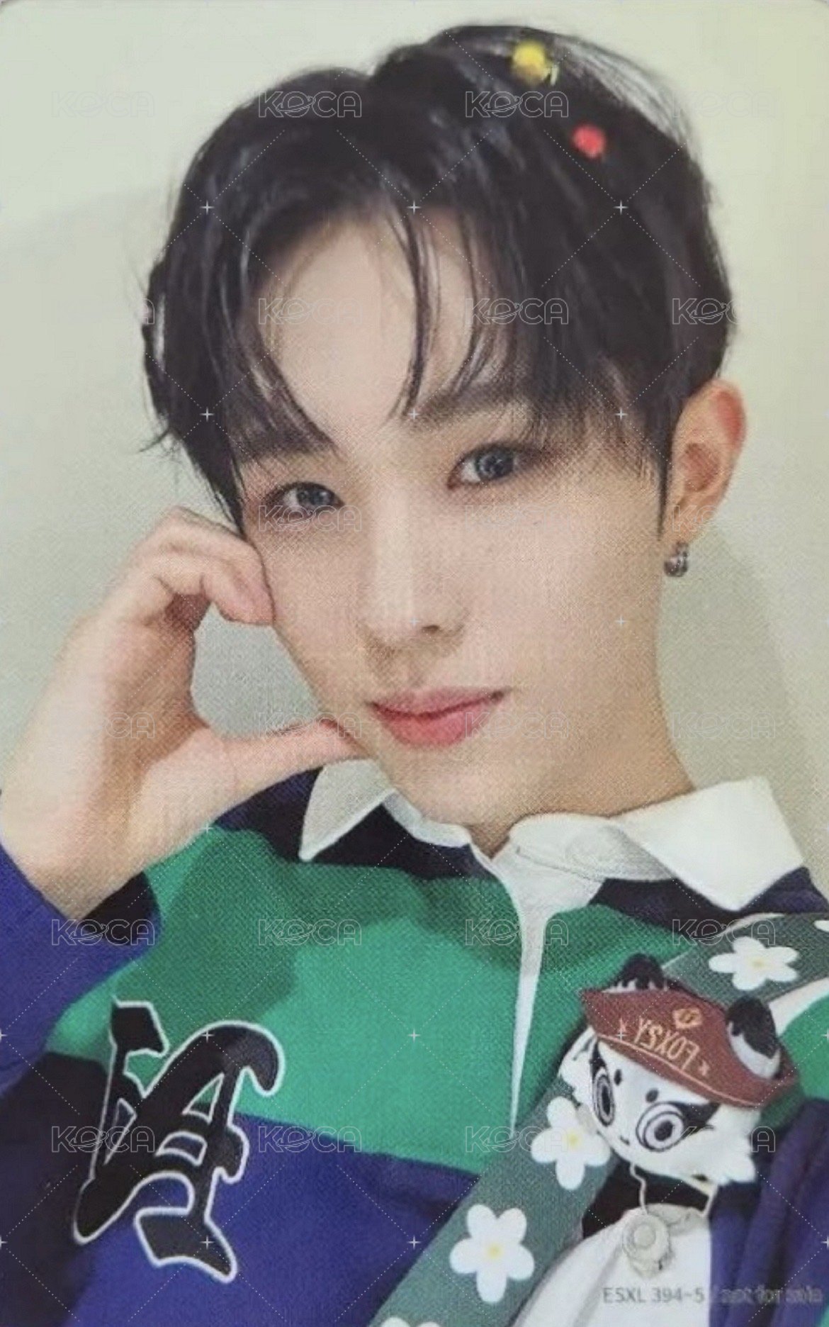 2025 日巡武道館藍光 完全生產限定盤 專輯卡 雙面卡 背面