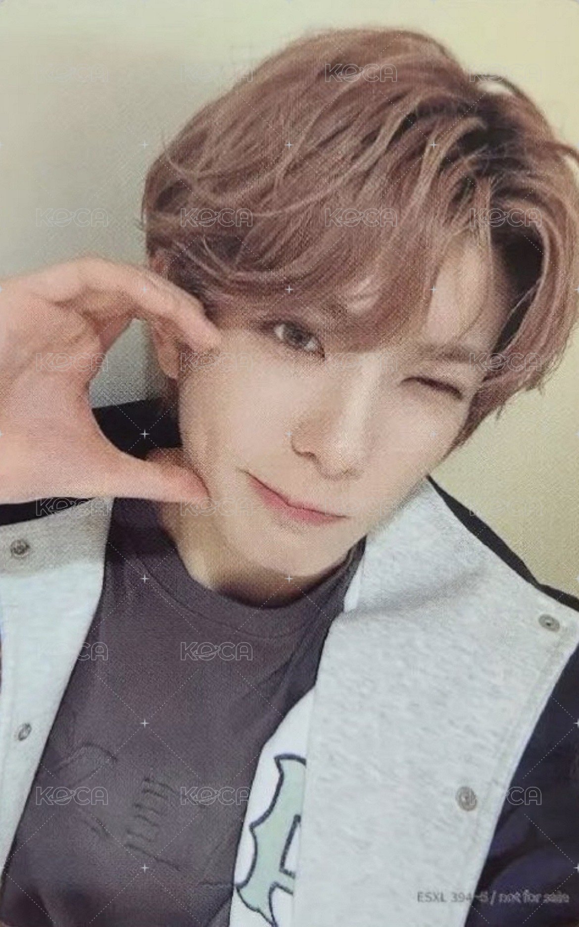 2025 日巡武道館藍光 完全生產限定盤 專輯卡 雙面卡 背面