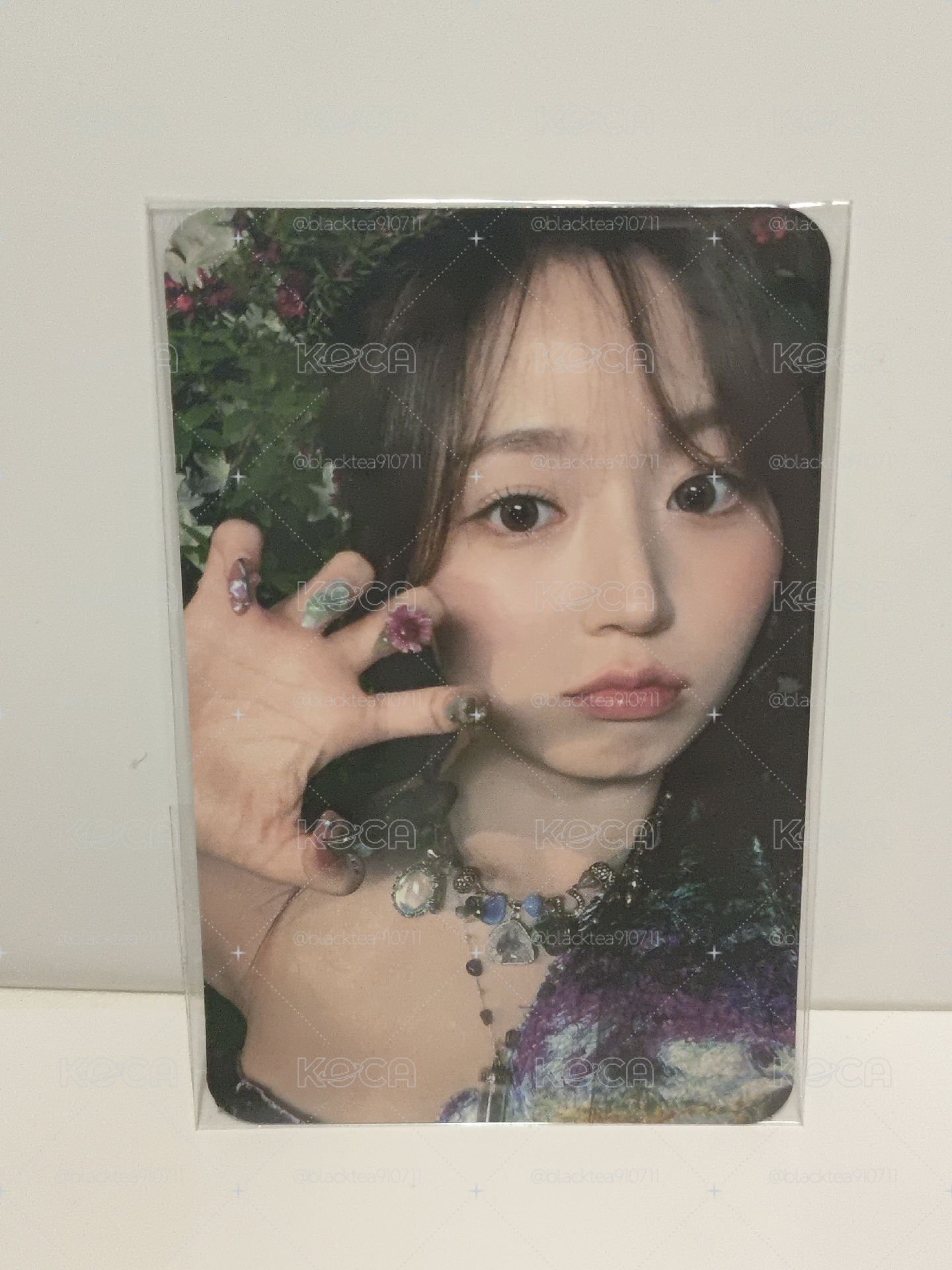 JYP預售嫄