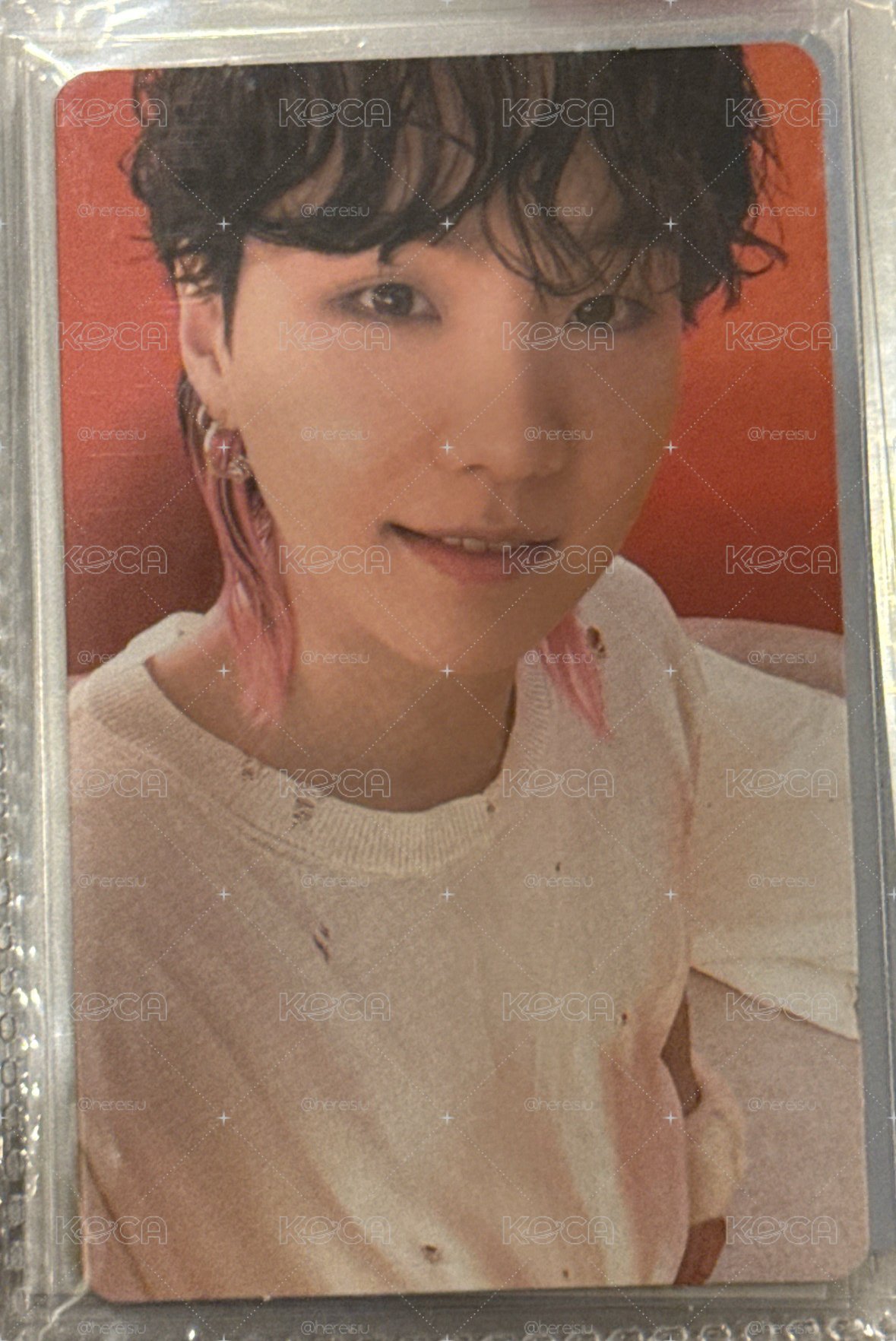 小狼尾其其