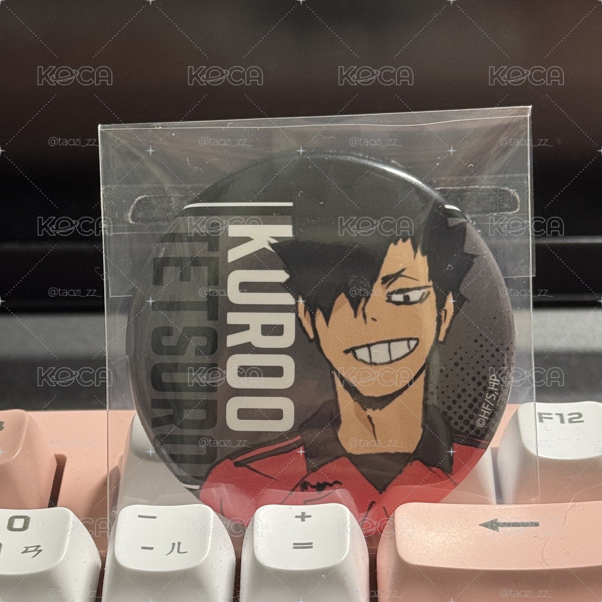 排球少年 徽章