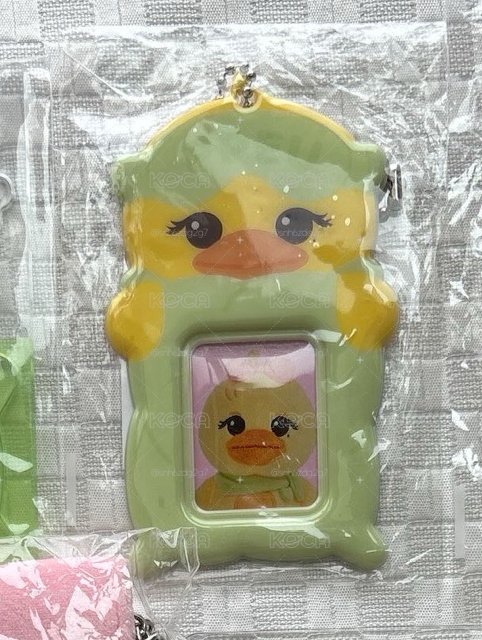 證件照卡套（含一張證件照+卡套本體）