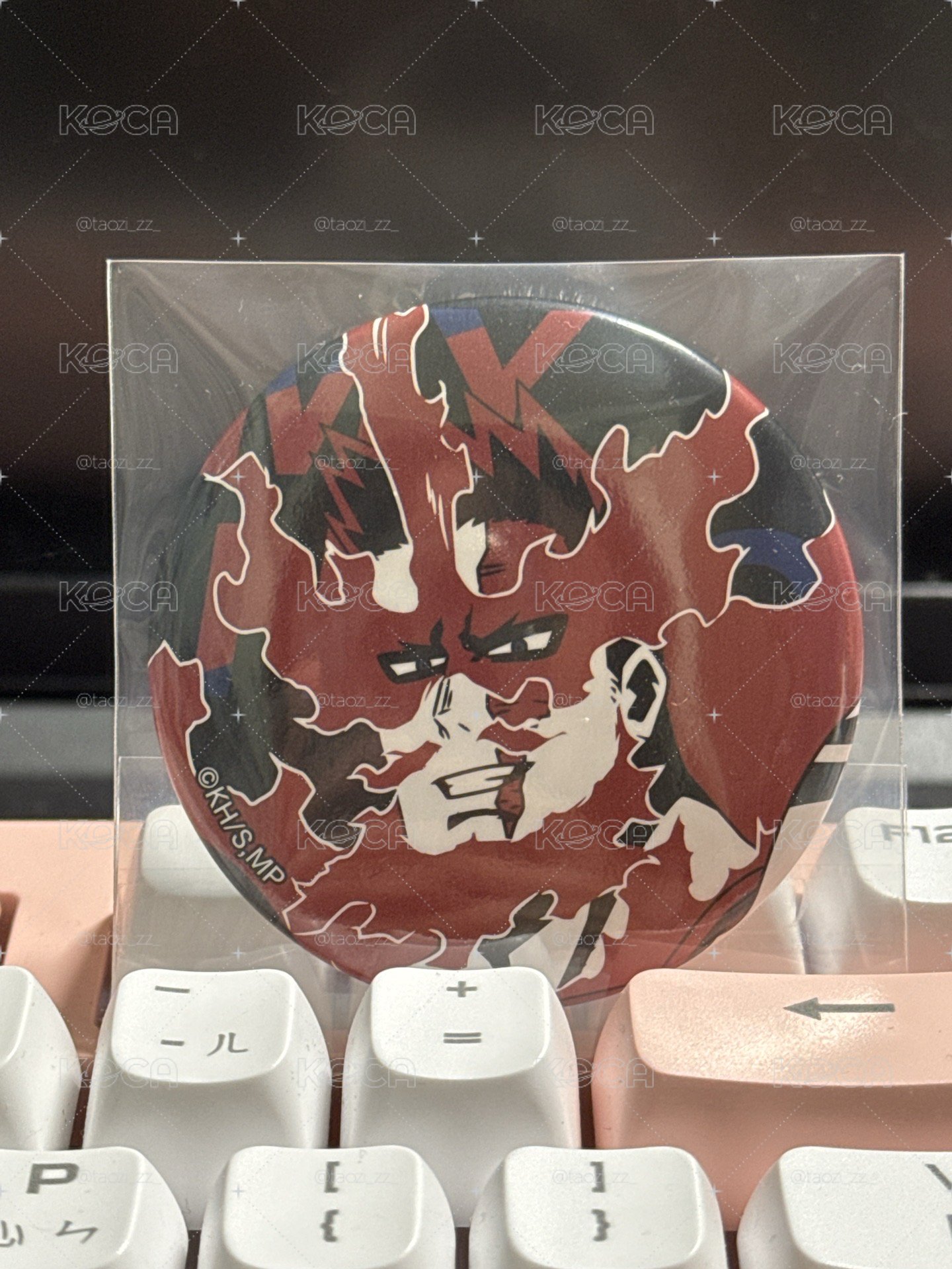 我的英雄學院 奮進人 轟炎司
