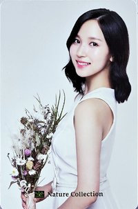 Nature Collection 周邊卡 粉餅卡