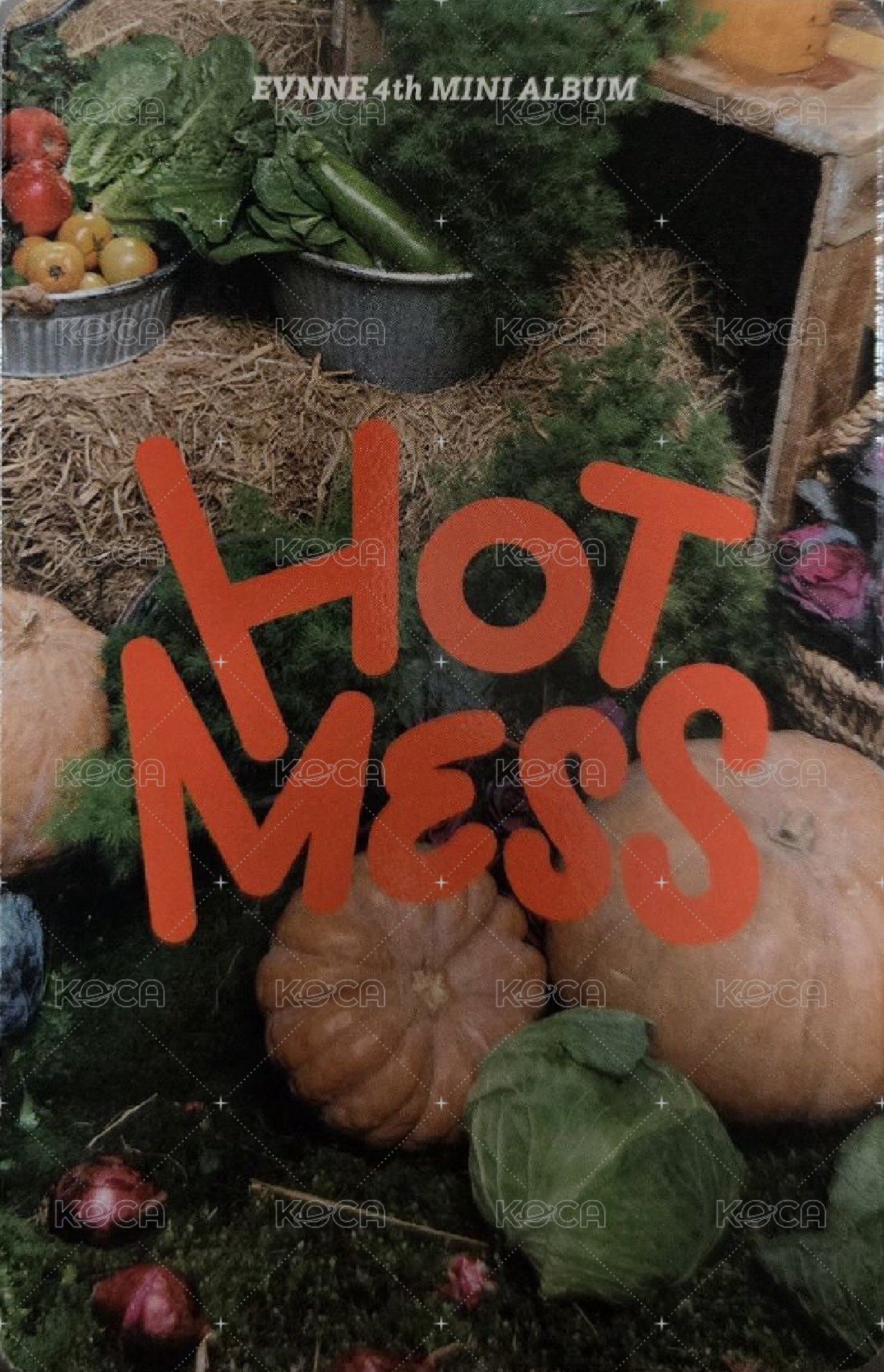 HOT MESS 專輯卡  背面