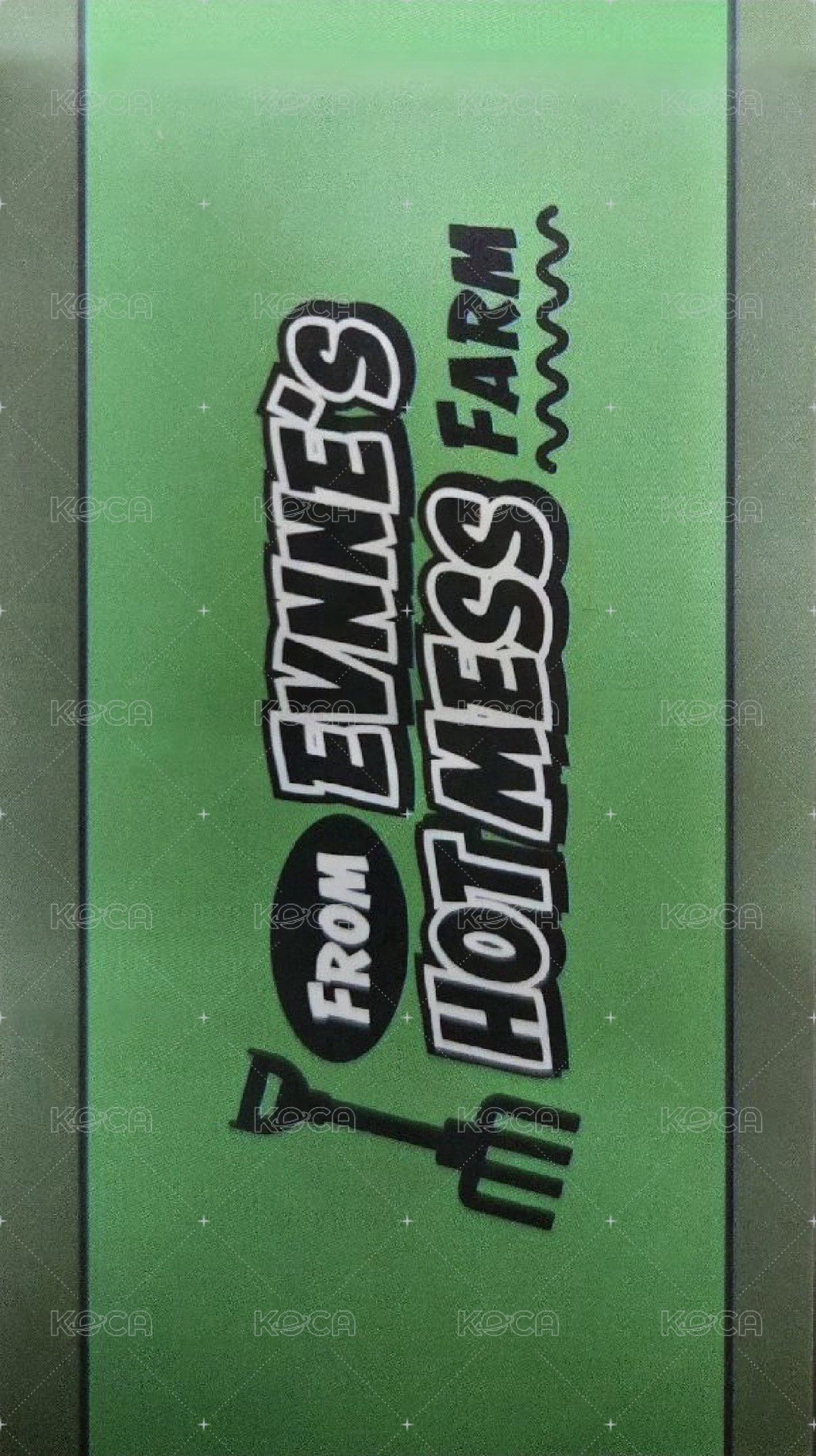 HOT MESS 專輯卡 折價券 背面