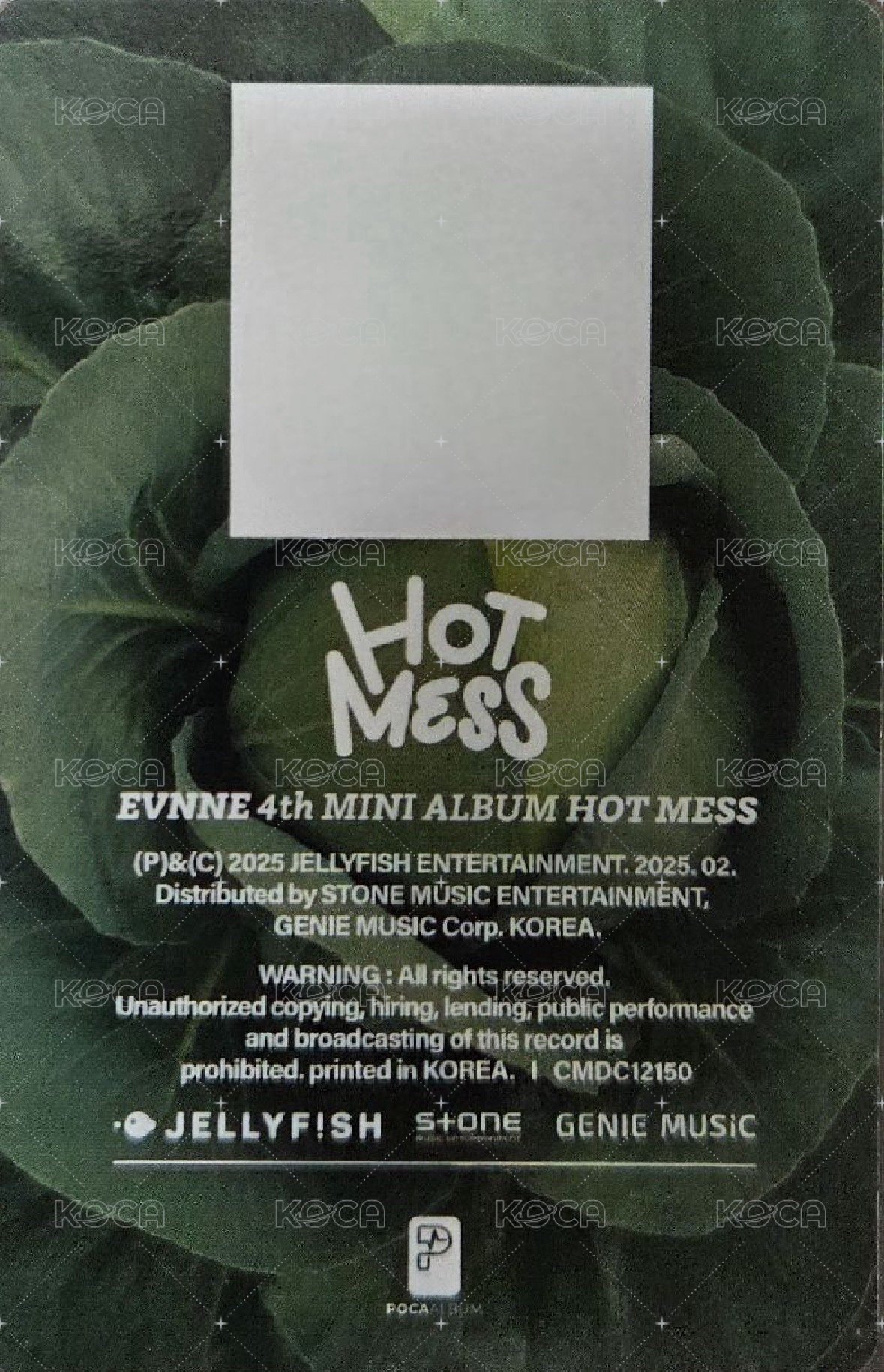 HOT MESS 電子專 專輯卡 QR卡 背面